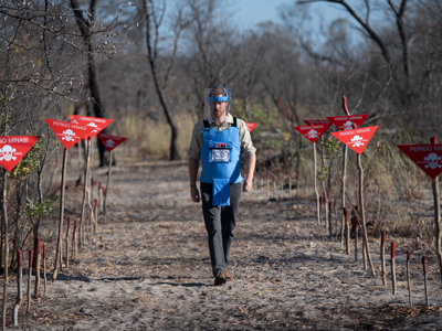 Link to Prince Harry praises Angola's investment in mine clearance